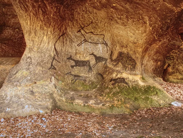 Primitive art painted on rock in sandstone cave. Picture of deer and mammut hunting.