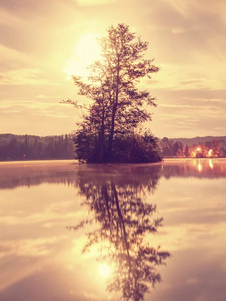 Island Mysterious Lake Fullmoon Night Morning Fog Lake Little Island — Stock Photo, Image