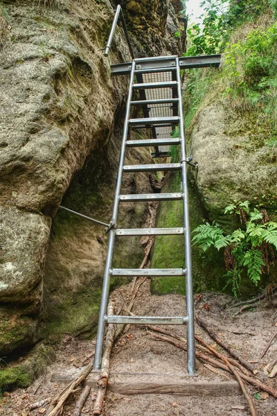 Leitertreppen Steigen Sandsteinschlucht Klettersteig Stahlleiter Und Seil Auf Einem Felsen — Stockfoto