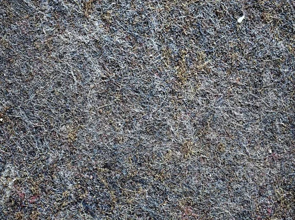 Detail of carpet rug with striped pattern of mixed colors. Dirty and dusty place of worn carpet