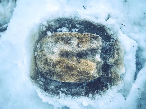 Отпечаток Копыт Замерзшем Влажном Снегу Утренняя Прогулка Лугу Рядом Лошадиной — стоковое фото