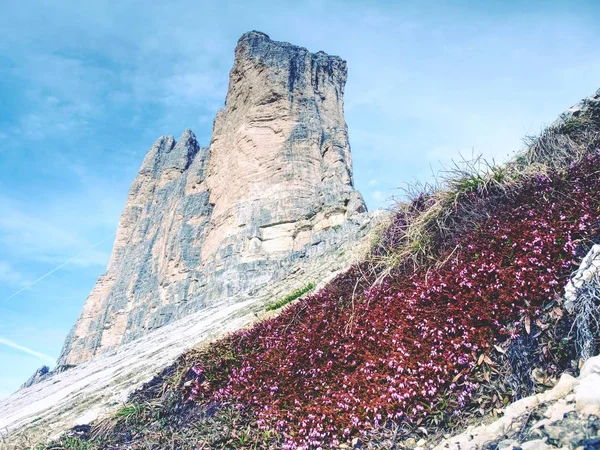 Dödande Skönhet Höga Berg Spring Tour Berömda Alperna Utbud Vandring — Stockfoto