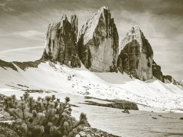 Tre Cime Lavaredo Rochas Dolomitas Bela Natureza Itália — Fotografia de Stock