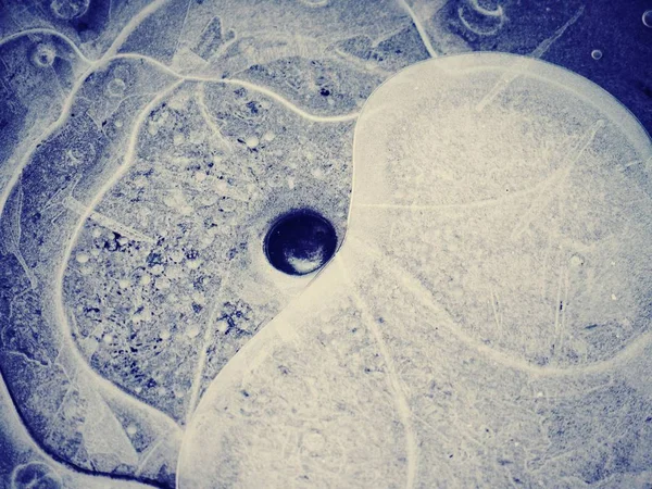Uder 氷を冷凍します 自然の芸術 氷と水の下で気泡から驚くべき図形 — ストック写真