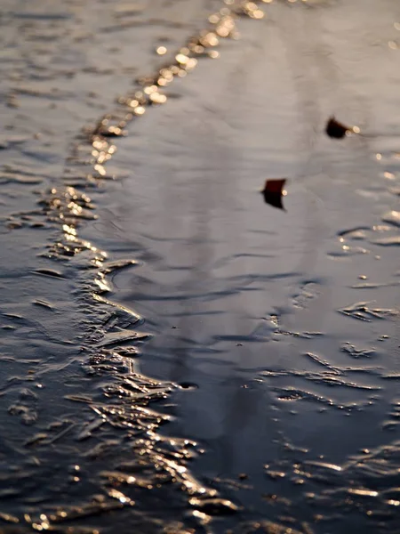 Сонячні Роздуми Танення Зламаних Шматочків Льоду Подрібнених Паводків Замерзлому Озері — стокове фото