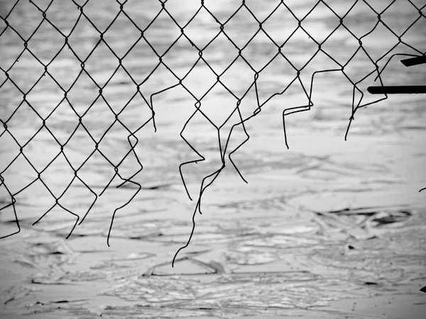 Sunset reflection in ice lake through, wire fence. Wires silhouette run through  frozen swamp.