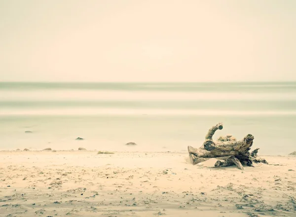 Romantyczna Atmosfera Kolorowy Zachód Słońca Morzu Kamienista Plaża Złamane Drzewo — Zdjęcie stockowe