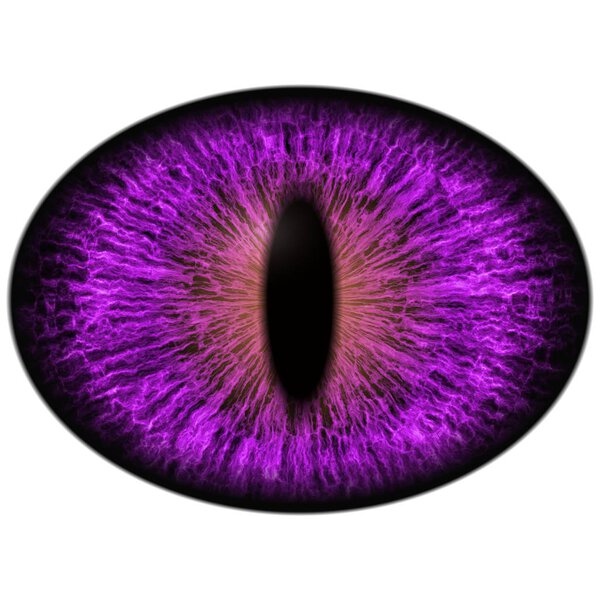 Strange un-human eye with shin pupil and dark retina. Slim iris around pupil detail view into eye bulb