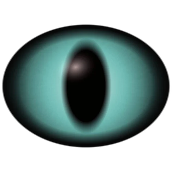 Зеленый Глаз Раптора Большим Зрачком Белом Изолированные Элементы Глаза — стоковое фото