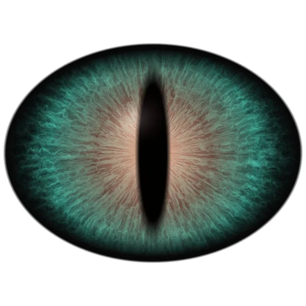 Око Тварин Значок Зеленого Кольору Елементи Очей Багатокольорові Піктограми — стокове фото