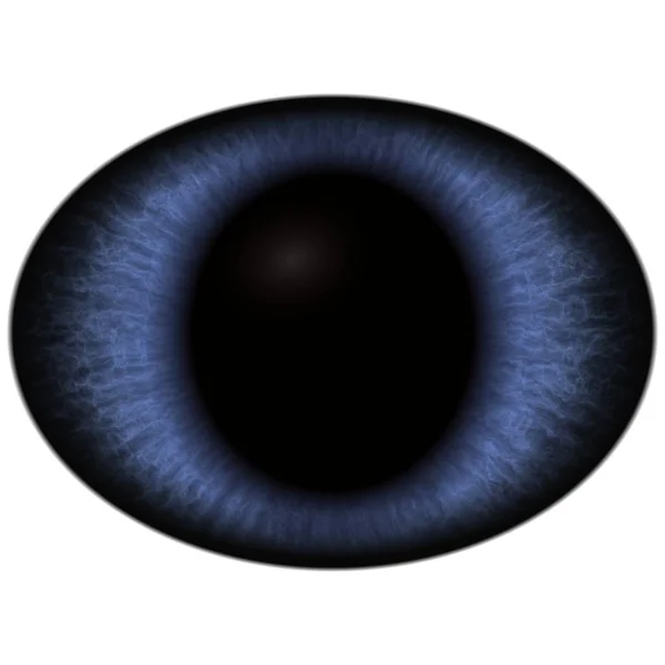 Close Blue Unhuman Eye White Background — Stock Photo, Image