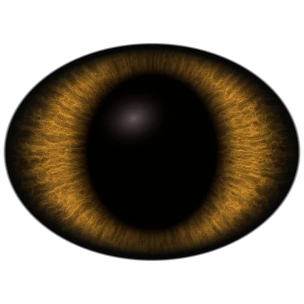 Hnědé Oko Izolované Pozadí Hluboké Barvy Nelidské Oči — Stock fotografie