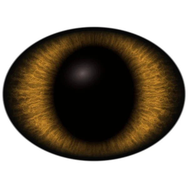 Brown Eye Isolated Background Deep Colors Unhuman Eyes — Stock Photo, Image