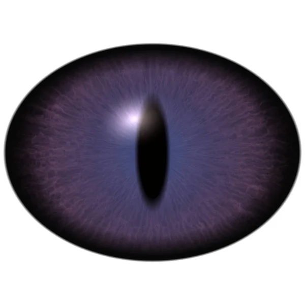 Strange Human Eye Shin Pupil Dark Retina Slim Iris Pupil — Stock Photo, Image