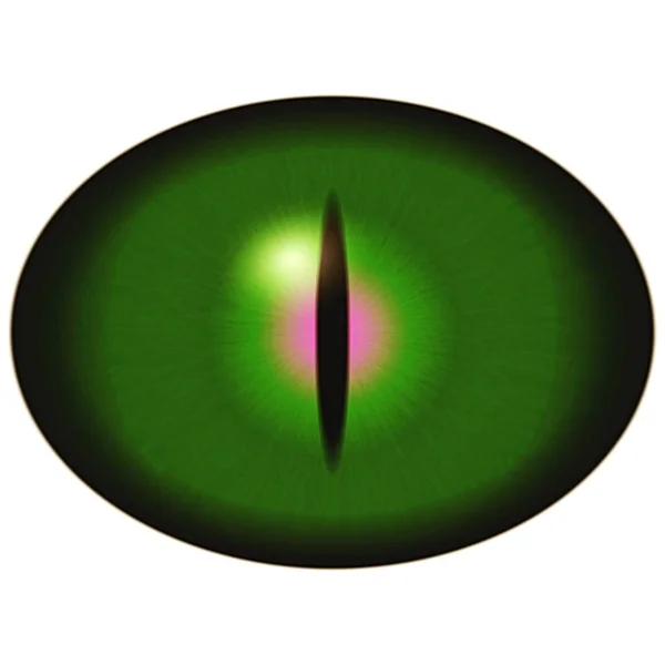 绿色猛禽眼睛与大瞳孔在白色 眼睛的孤立元素 — 图库照片