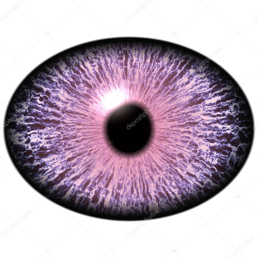 Strange un-human eye with shin pupil and dark retina. Slim iris around pupil detail view into eye bulb