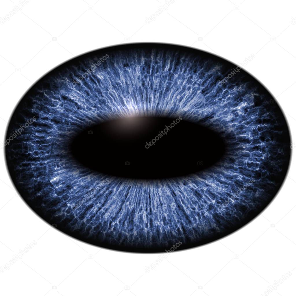 Close-up of blue unhuman eye on white background.