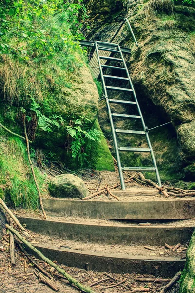 Escalera Metálica Montañas Vía Ferrata Cable Acero Con Anclajes Perno —  Fotos de Stock