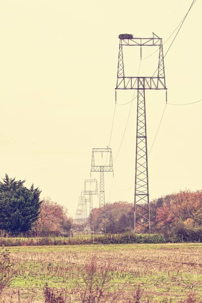 Stork Nest Electric Pole Industrial Group Transmission Towers — Stock Photo, Image