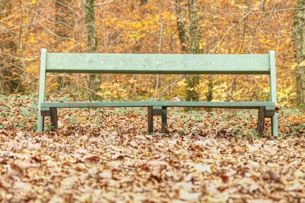 Lavička Podzimním Parku Dřevěná Lavička Lese Město Oranžovou Javorového Listí — Stock fotografie