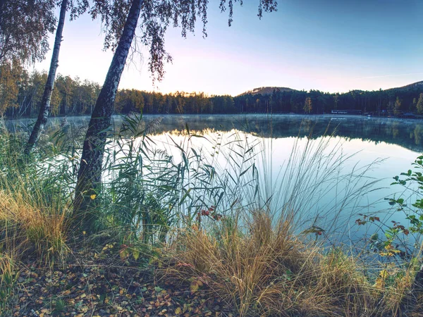Beautiful Forest Lake Old Quarry Clear Autumn Day Reflection Calm — Stock Photo, Image