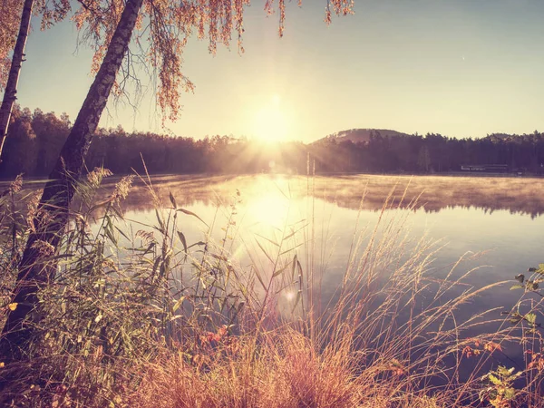 Herbstabend Auf Dem See Schöner Waldsee Mit Trockenem Goldenem Halm — Stockfoto