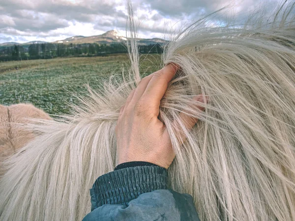 馬体に 農夫の手にクローズ アップ 山の農場の外ライブ馬 — ストック写真