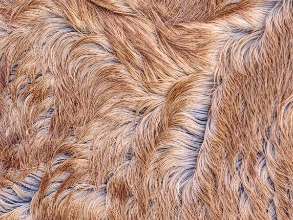 馬の毛皮のクローズ アップ 暖かい冬の茶色馬毛皮 — ストック写真