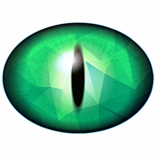 Olho Animal Como Verde Com Formas Dentro Bola Olho — Fotografia de Stock