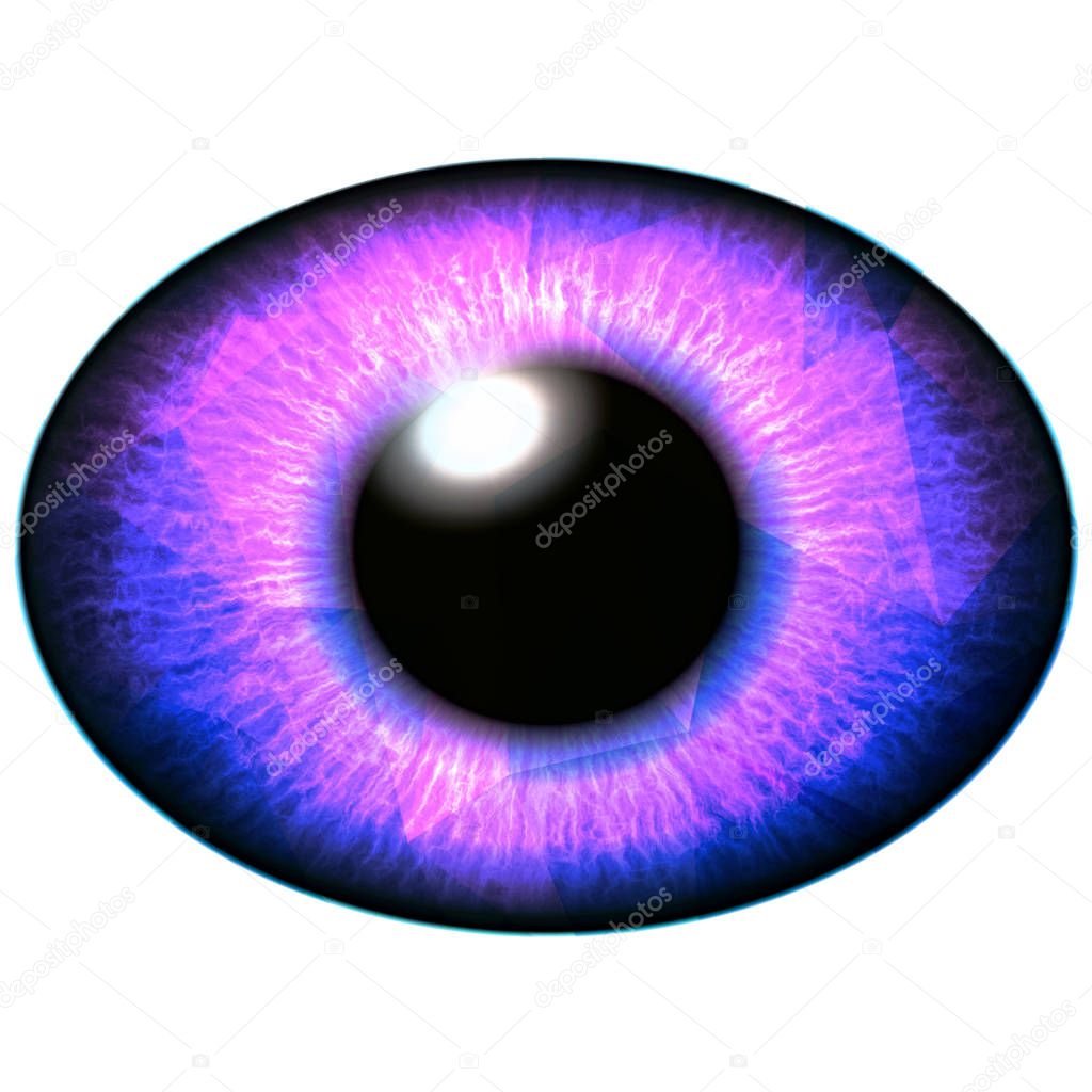 Red purple eye illustration, shapes in colorful iris. Shinning iris around pupil detail view into eye bulb