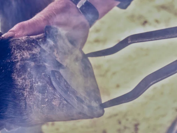 Ferreiro queimando sapato com ferradura quente — Fotografia de Stock