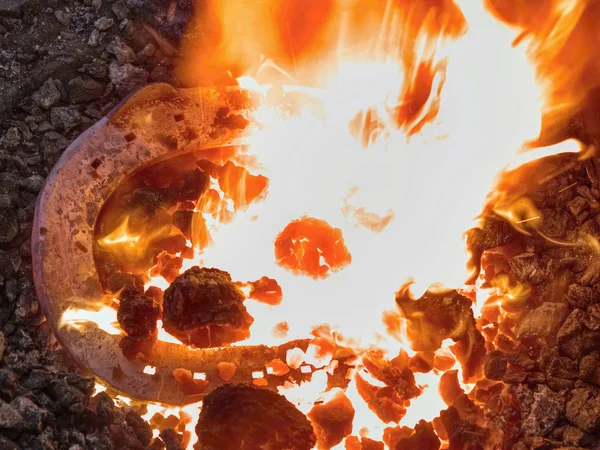 Wärmendes Eisen im Feuer, um Hufeisen auf Amboss zu schaffen — Stockfoto