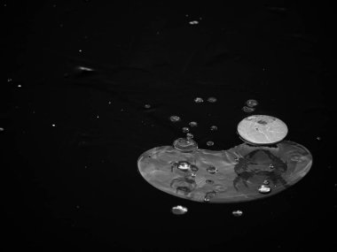 Buz kabarcıkları. Hava ince buzun içinde donmuş