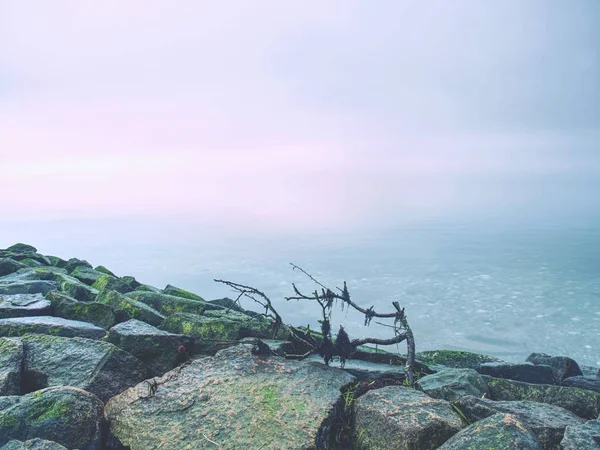 Lugna havet och upplyst stenar kusten — Stockfoto