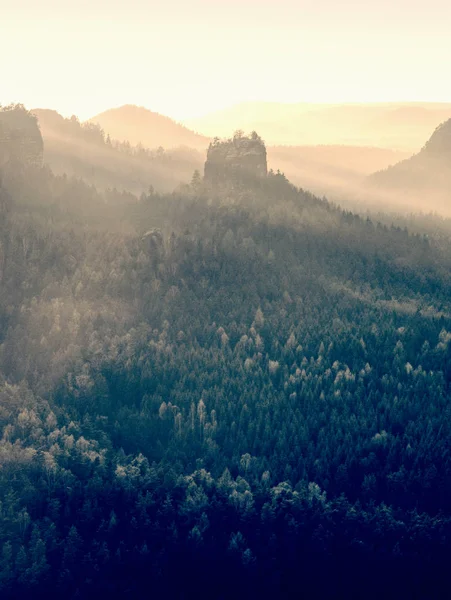 Rayon de soleil à travers les cimes des arbres de la forêt automnale — Photo