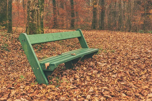 Empty abandoned bench with autumn leaves — Stock Photo, Image