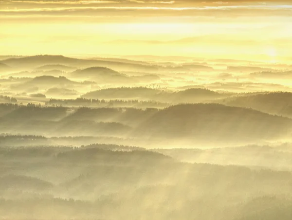 Luchtfoto van het bos gehuld in Morning Fog — Stockfoto