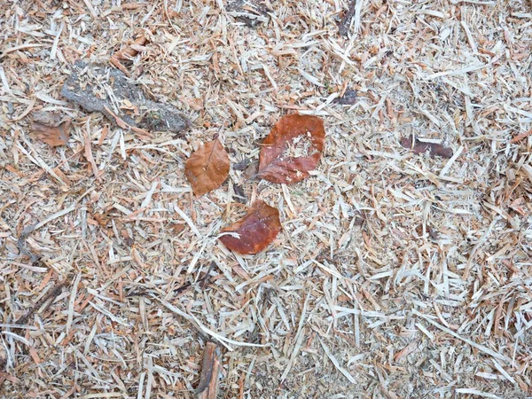 木と自然の有機質マルチ樹皮のチップし、葉. — ストック写真
