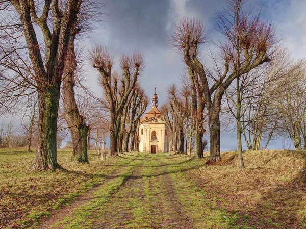 Chapel sokak yolun sonu, sonbahar ağaçları ile — Stok fotoğraf