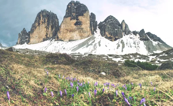 Våren trek runt Tre Cime ovan snöiga landskap. — Stockfoto