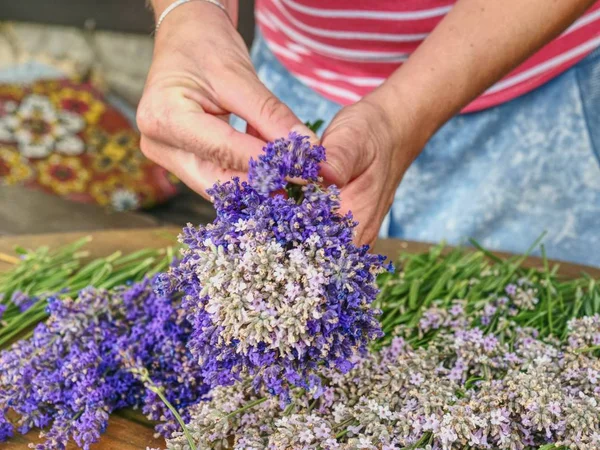 Las manos femeninas sostienen tallos aromáticos de hierbas. Provenza francesa — Foto de Stock