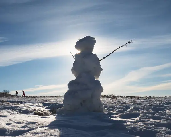 天然冰冷的雪人。雪覆盖了风景 — 图库照片