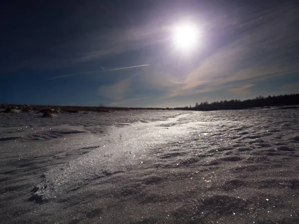 冬天阳光的光反射的雪 — 图库照片