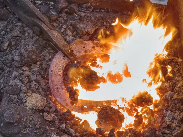 Wärmendes Eisen im Feuer, um Hufeisen auf Amboss zu schaffen — Stockfoto