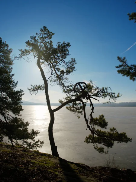 美容日の出凍った水湖の丘の間上空. — ストック写真