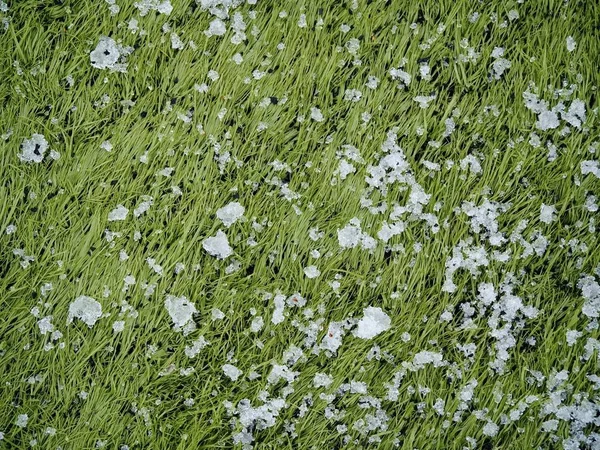 Neige sur terrain de football artificiel avec écailles en caoutchouc — Photo