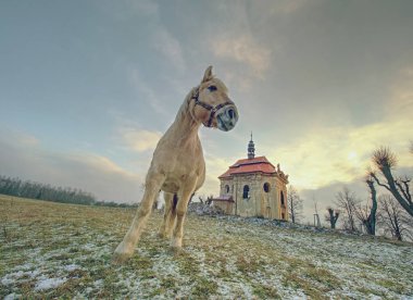 Bahar bakış ile eski at Yaylası.