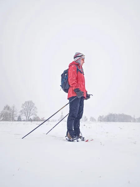 Uśmiech Sport twarz dziewczyna spacer w rakietach śnieżnych na snowy łąka — Zdjęcie stockowe