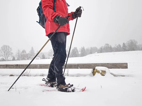 Caminante de nieve sola o esquí de fondo mujer deportiva y nubes grises i — Foto de Stock