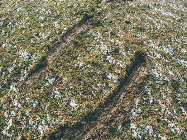 Impronte di zoccoli di cavallo su terreno fangoso bagnato . — Foto Stock